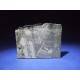 Muonionalusta Meteorite slice 28.7g