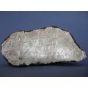 Muonionalusta Meteorite etched endcut 1876g