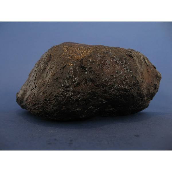 Muonionalusta Meteorite etched endcut 1876g