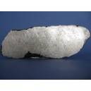 Muonionalusta Meteorite etched slice 313g