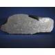 Muonionalusta Meteorite etched slice 354g