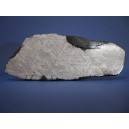 Muonionalusta Meteorite etched slice 385g