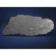 Muonionalusta Meteorite etched slice 365g