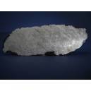 Muonionalusta Meteorite etched slice 316g