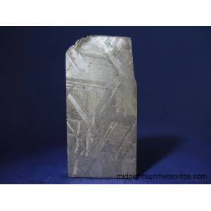 Muonionalusta Meteorite 18.5g