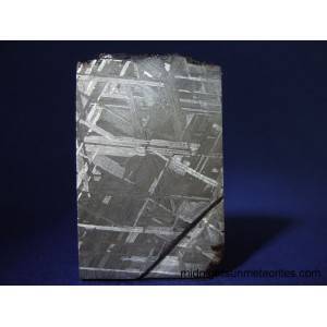 Muonionalusta Meteorite 33.2g