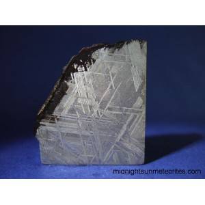 Muonionalusta Meteorite 45.0g