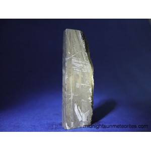 Muonionalusta Meteorite 37.0g