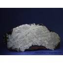 Muonionalusta Meteorite 81.6g