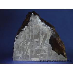 Muonionalusta Meteorite 171.7g