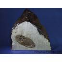 Muonionalusta Meteorite 618g