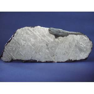 Muonionalusta Meteorite 385g