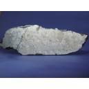 Muonionalusta Meteorite 399g