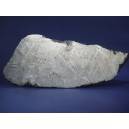 Muonionalusta Meteorite 285g