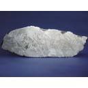 Muonionalusta Meteorite 363g