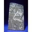 Muonionalusta Meteorite slice 73.9g