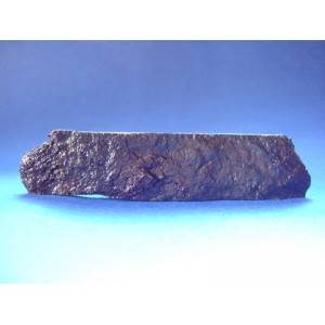 Muonionalusta Meteorite slice 53.0g